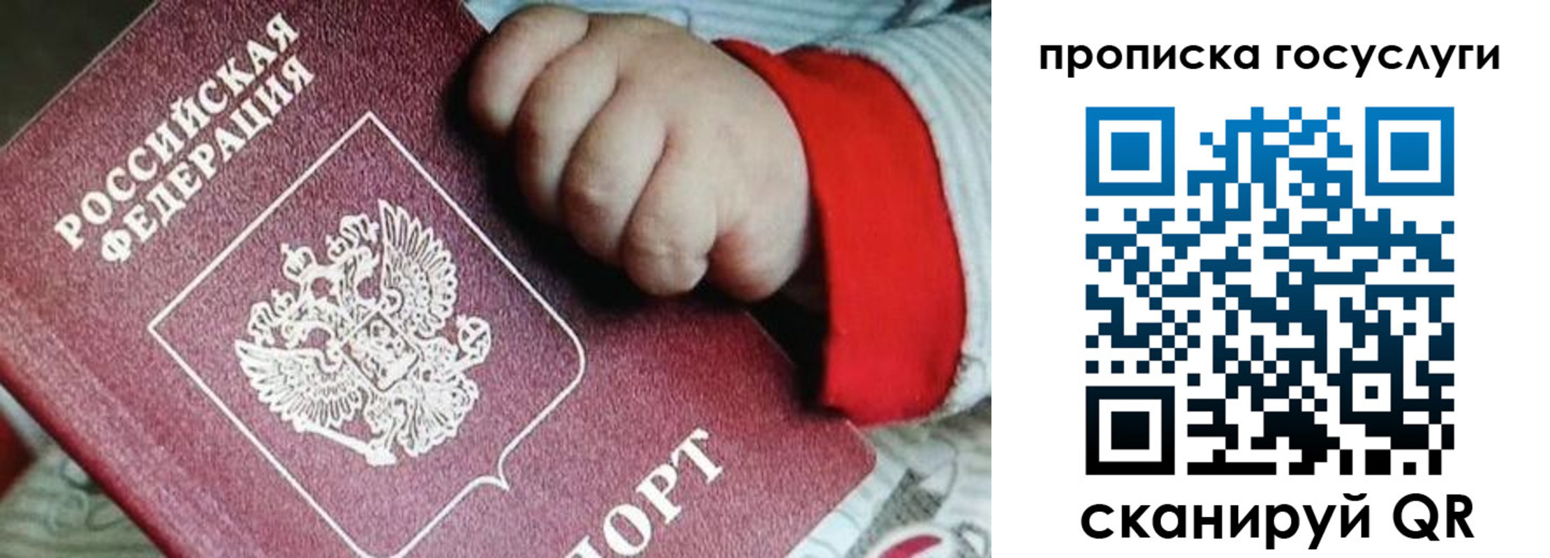прописка штамп в Электрогорске
